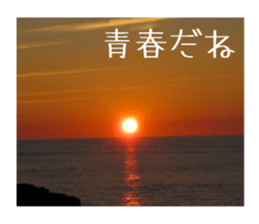 Mellow photograph sticker sticker #13506171