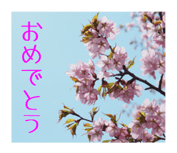 Mellow photograph sticker sticker #13506174