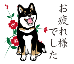 Daily Black Shiba Inu 2 sticker #13508766