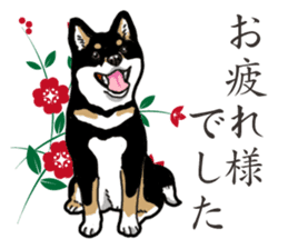 Daily Black Shiba Inu 2 sticker #13508766
