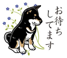 Daily Black Shiba Inu 2 sticker #13508768