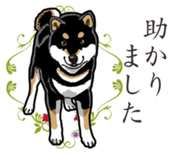 Daily Black Shiba Inu 2 sticker #13508769