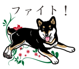 Daily Black Shiba Inu 2 sticker #13508770