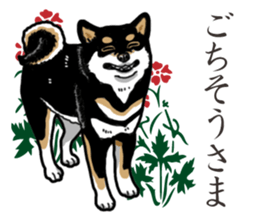 Daily Black Shiba Inu 2 sticker #13508771