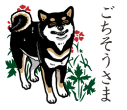 Daily Black Shiba Inu 2 sticker #13508771