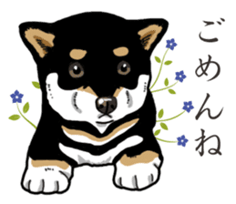 Daily Black Shiba Inu 2 sticker #13508775