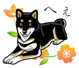 Daily Black Shiba Inu 2 sticker #13508784