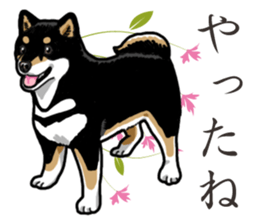 Daily Black Shiba Inu 2 sticker #13508788