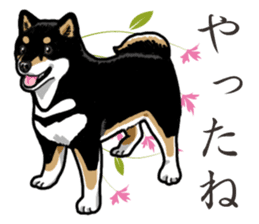 Daily Black Shiba Inu 2 sticker #13508788