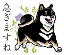 Daily Black Shiba Inu 2 sticker #13508790