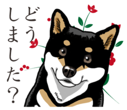 Daily Black Shiba Inu 2 sticker #13508792
