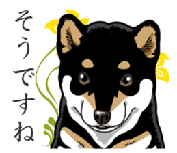 Daily Black Shiba Inu 2 sticker #13508794