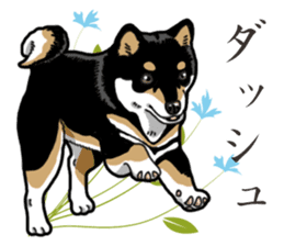 Daily Black Shiba Inu 2 sticker #13508796