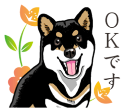 Daily Black Shiba Inu 2 sticker #13508802