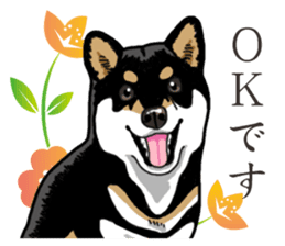 Daily Black Shiba Inu 2 sticker #13508802