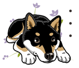 Daily Black Shiba Inu 2 sticker #13508804