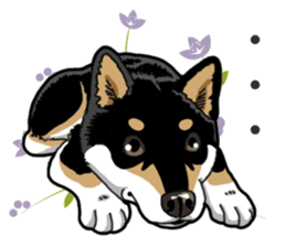 Daily Black Shiba Inu 2 sticker #13508804