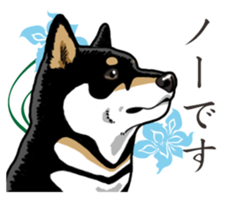 Daily Black Shiba Inu 2 sticker #13508806