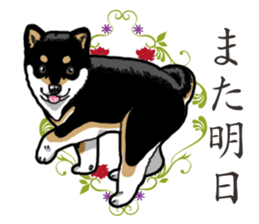 Daily Black Shiba Inu 2 sticker #13508808