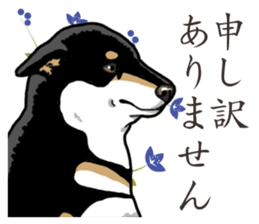 Daily Black Shiba Inu 2 sticker #13508814