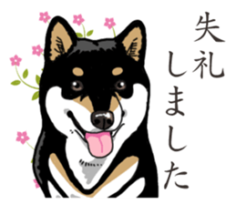 Daily Black Shiba Inu 2 sticker #13508816