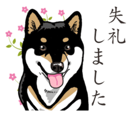 Daily Black Shiba Inu 2 sticker #13508816