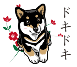 Daily Black Shiba Inu 2 sticker #13508828