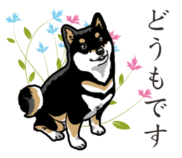 Daily Black Shiba Inu 2 sticker #13508830