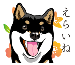 Daily Black Shiba Inu 2 sticker #13508832
