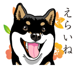 Daily Black Shiba Inu 2 sticker #13508832