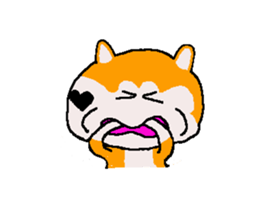 Shiba inu MOMO chan the third as well 38 sticker #13509317