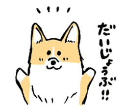 corgi-chan2 sticker #13509734
