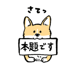 corgi-chan2 sticker #13509735