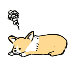 corgi-chan2 sticker #13509736
