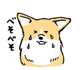 corgi-chan2 sticker #13509740