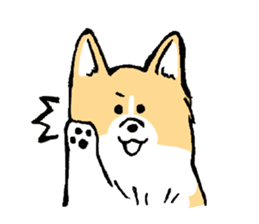 corgi-chan2 sticker #13509741