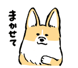 corgi-chan2 sticker #13509742