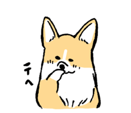 corgi-chan2 sticker #13509743