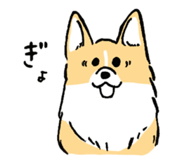 corgi-chan2 sticker #13509744