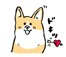 corgi-chan2 sticker #13509745