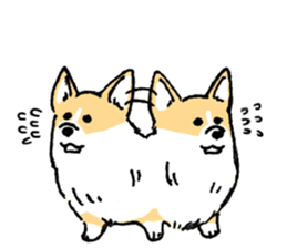 corgi-chan2 sticker #13509746
