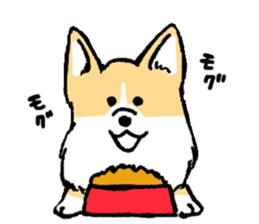 corgi-chan2 sticker #13509750