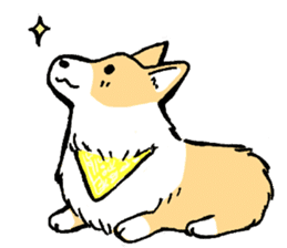 corgi-chan2 sticker #13509752