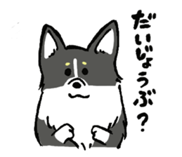 corgi-chan2 sticker #13509755