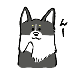 corgi-chan2 sticker #13509757