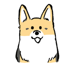 corgi-chan2 sticker #13509759