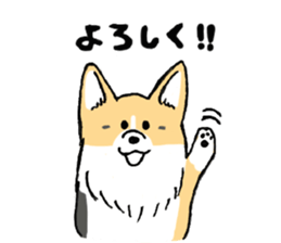 corgi-chan2 sticker #13509762