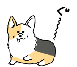corgi-chan2 sticker #13509763