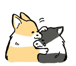corgi-chan2 sticker #13509767