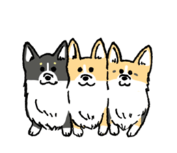 corgi-chan2 sticker #13509769